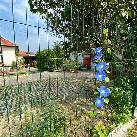 Mandula ház Veszprém Exterior foto
