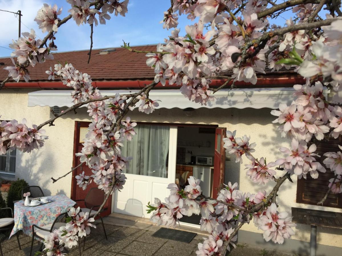 Mandula ház Veszprém Exterior foto