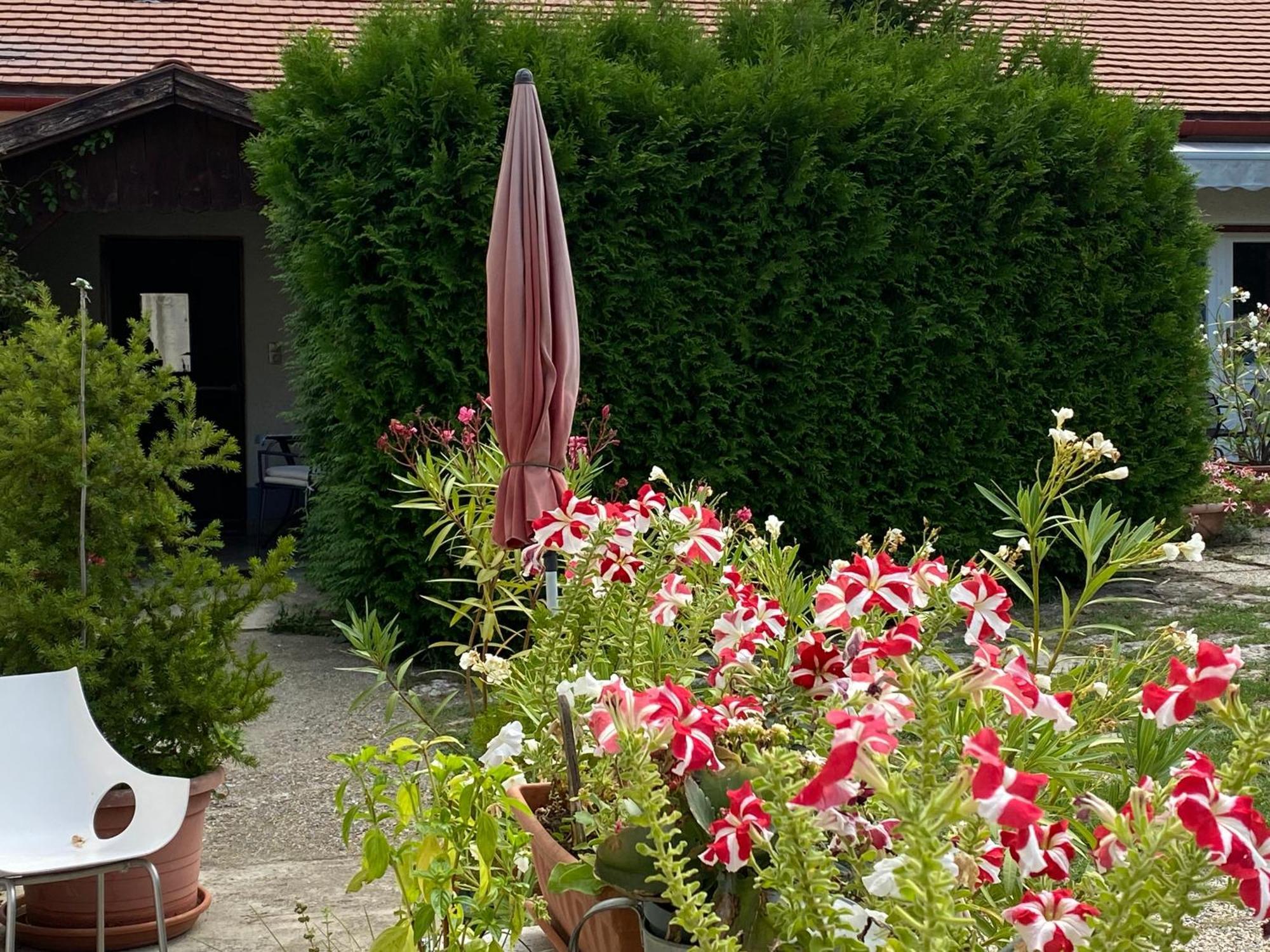 Mandula ház Veszprém Exterior foto