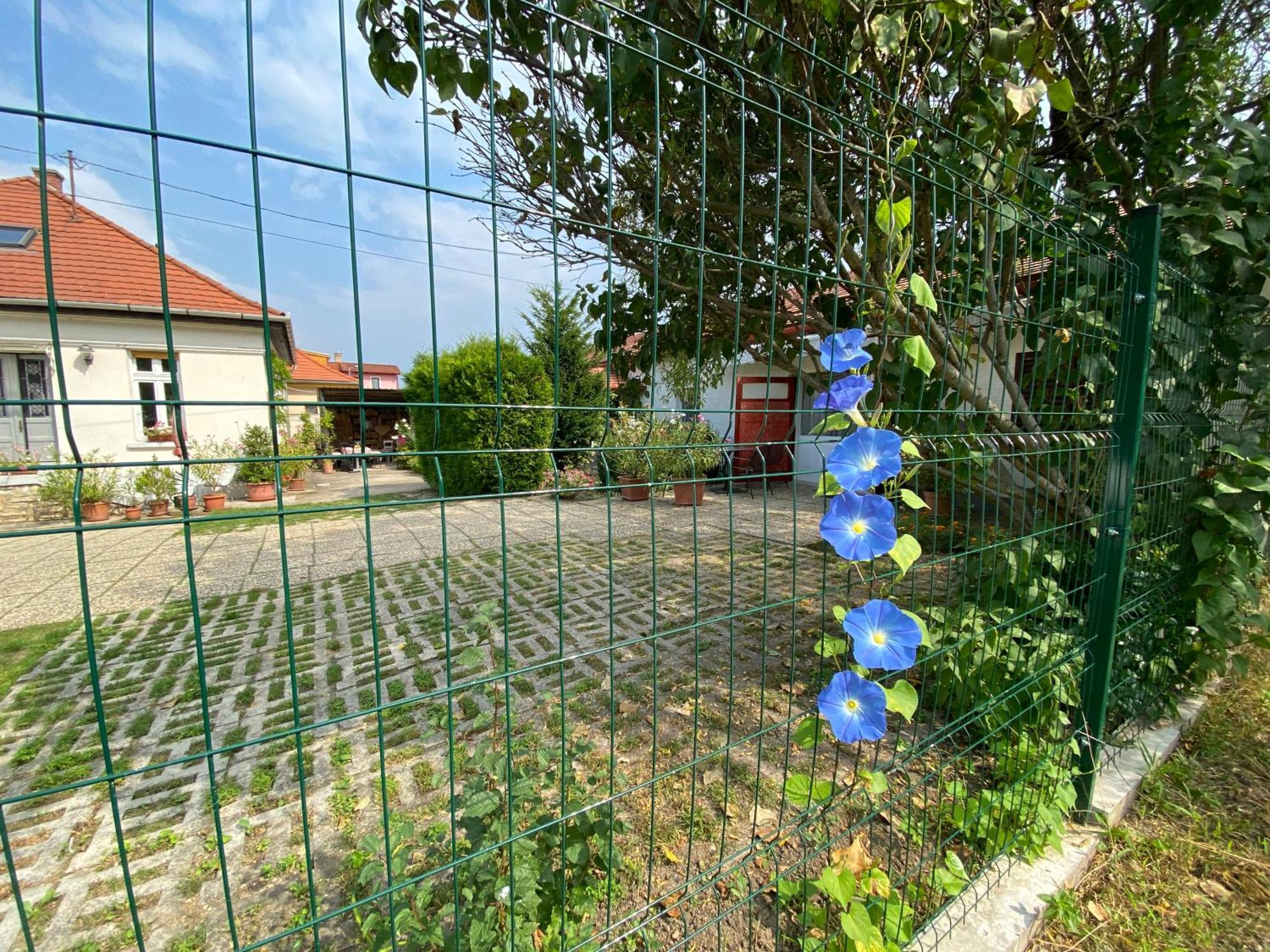 Mandula ház Veszprém Exterior foto